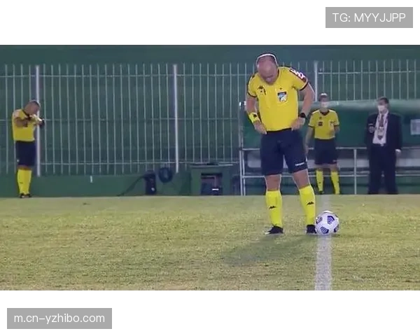 裁判长李秋尘解读球场设计：如何平衡挑战性与公平性